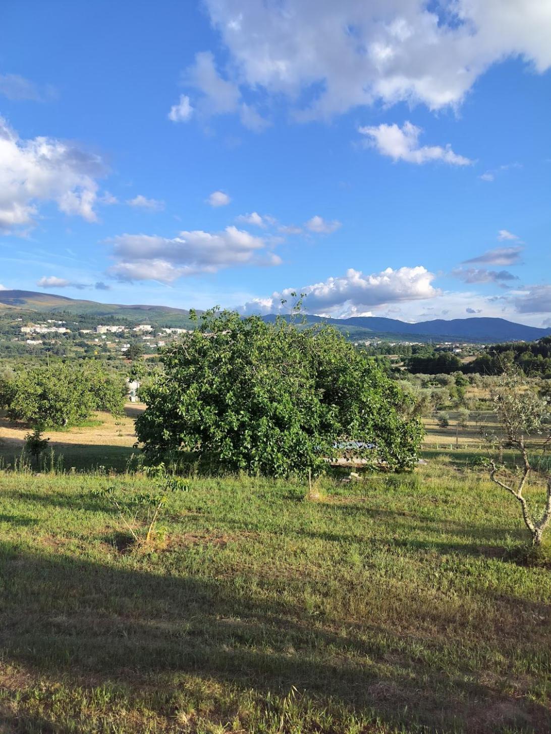 Villa Arpuro Gouveia  Exterior foto